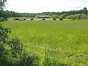Фото номера Дом для отпуска Дома для отпуска Holiday Home Pikkutupa г. Hyyrylä 39